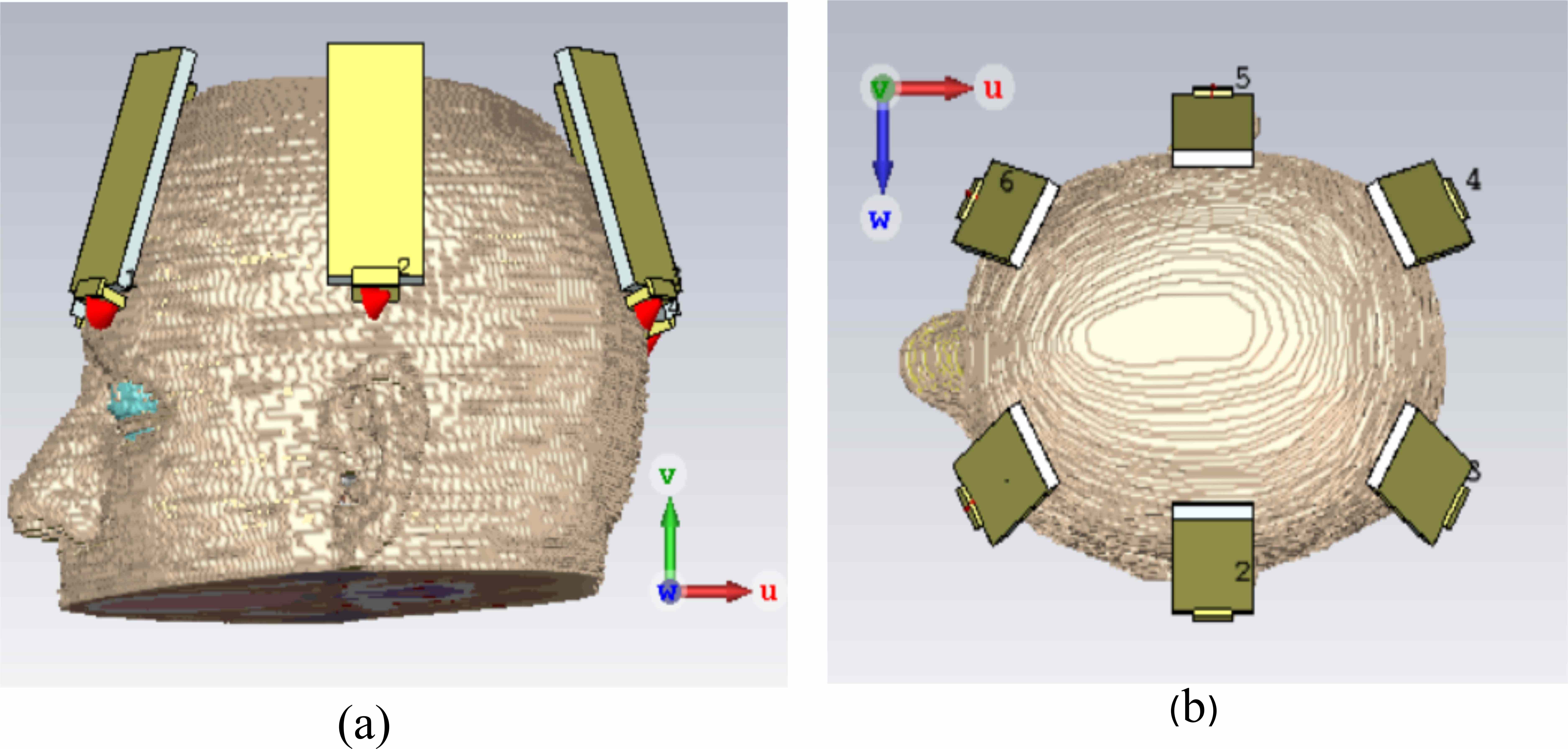 Microwave antenna configuration around head model